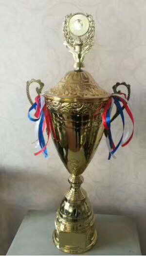 custom metal sport trophy award souvenir gift