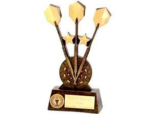 custom darts trophy