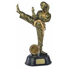 custom karate sport trophy