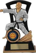custom karate sport trophy