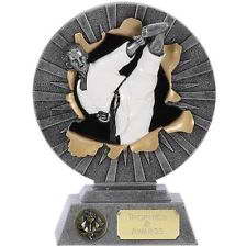 custom karate sport trophy
