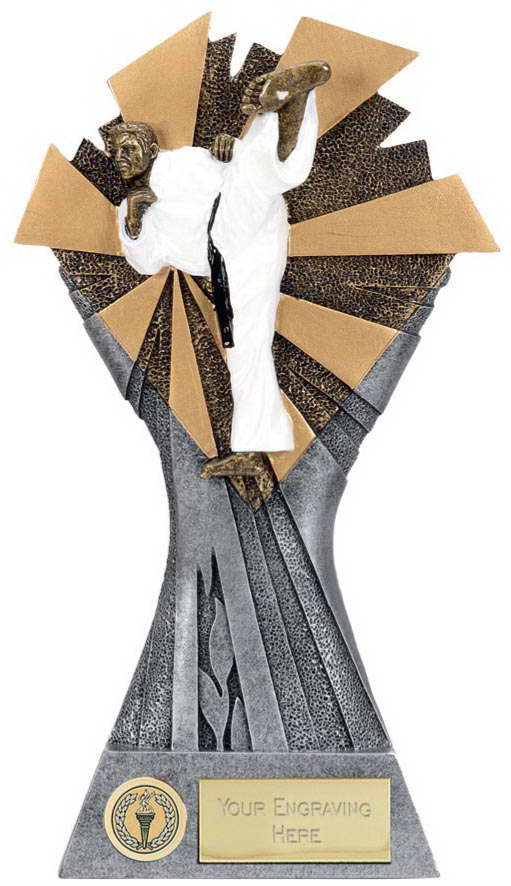 custom karate sport trophy