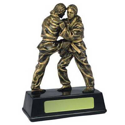 custom karate sport trophy