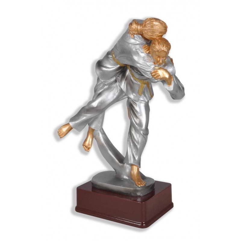 custom karate sport trophy