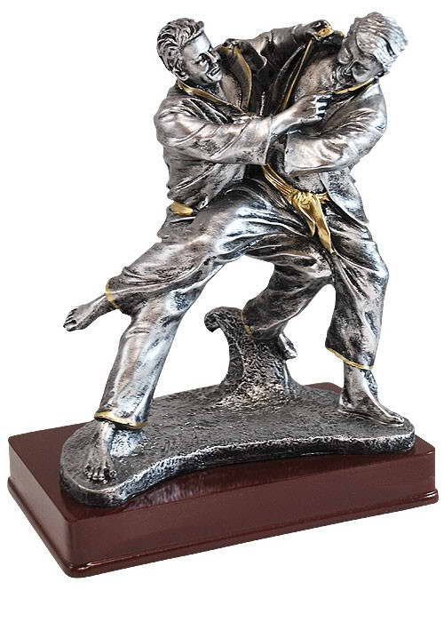 custom karate sport trophy