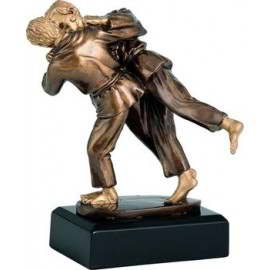 custom karate sport trophy