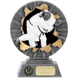 custom karate sport trophy