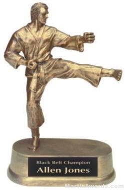 custom karate sport trophy