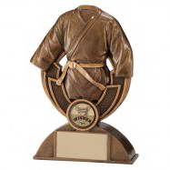 custom karate sport trophy