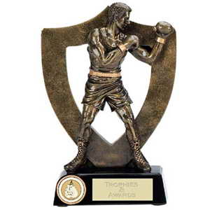 custom resin boxing souvenir sport trophy