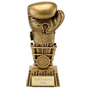 custom resin boxing souvenir sport trophy