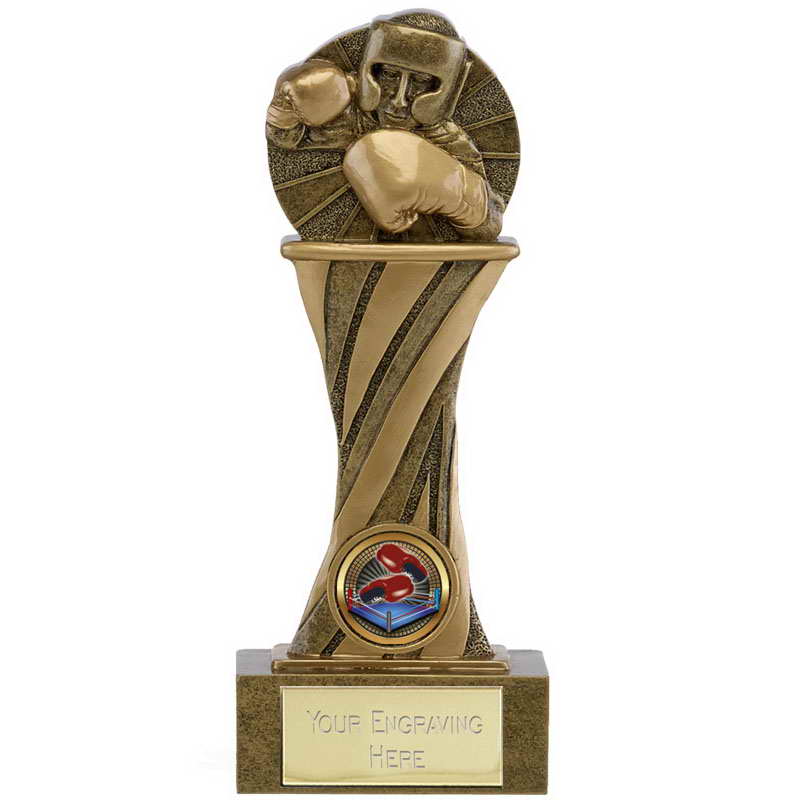 custom resin boxing souvenir sport trophy