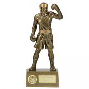 custom resin boxing souvenir sport trophy