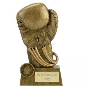custom resin boxing souvenir sport trophy