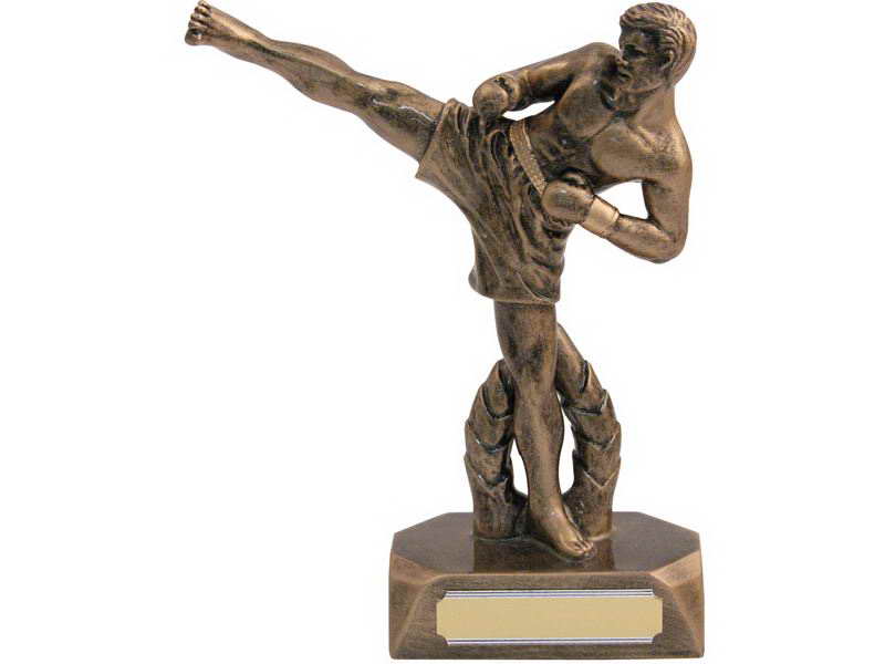 custom resin boxing souvenir sport trophy