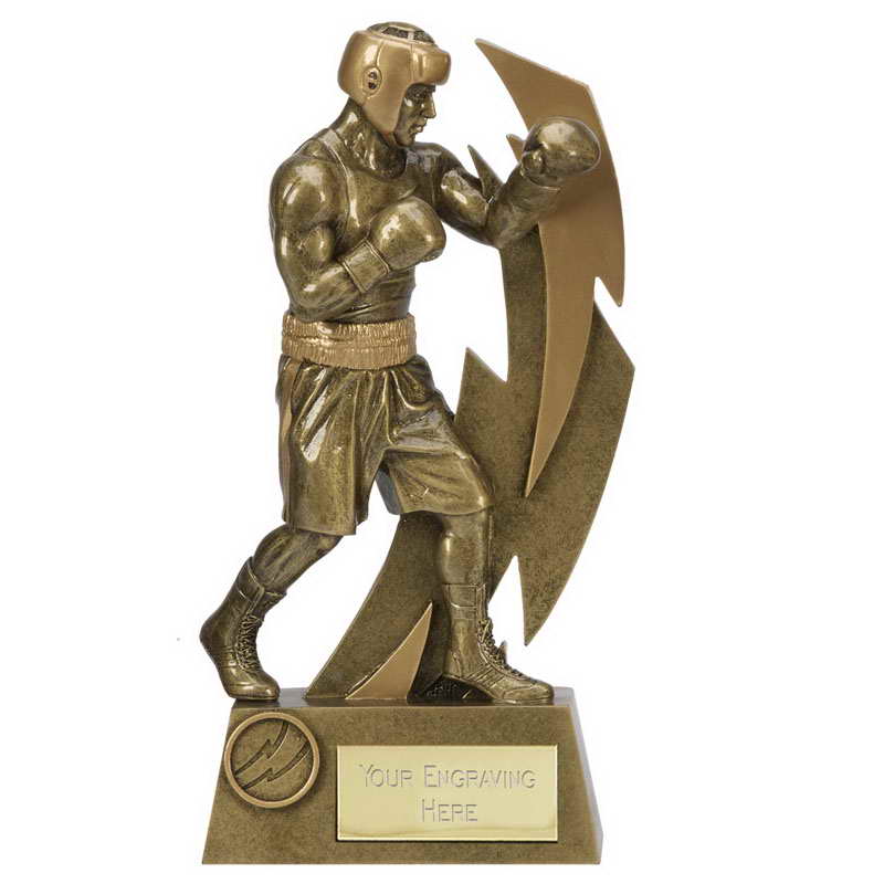 custom resin boxing souvenir sport trophy