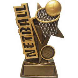 custom souvenir resin netball trophy awards