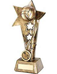 custom souvenir resin netball trophy awards