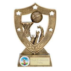 custom souvenir resin netball trophy awards